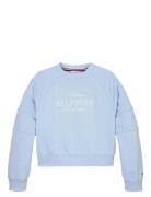Tommy Script Cn Sweatshirt Tops Sweatshirts & Hoodies Sweatshirts Blue Tommy Hilfiger
