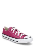 Ctas Ox Berry Smoothie Sport Sport Shoes Sport Sneakers Sport Low Top Sneakers Pink Converse