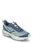 Wave Rider Gtx 2 Sport Women Sport Shoes Sport Running Shoes Blue Mizuno