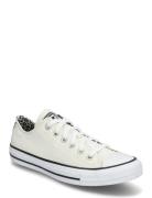 Ctas Ox Egret/Black/Coastal Dune Sport Sport Shoes Sport Sneakers Sport Low Top Sneakers White Converse