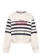 Tommy Script Cn Sweatshirt Tops Sweatshirts & Hoodies Sweatshirts Cream Tommy Hilfiger