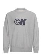 Premium Terry Ck Sport Graphic C Tops Sweatshirts & Hoodies Sweatshirts Grey Calvin Klein Jeans