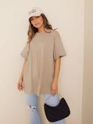 Pieces Pcrina Ss Oversized Tee Noos Bc Oversized Silver Mink