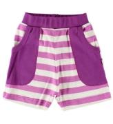 Katvig Sweatshorts - Fuchsia/Hvidstribet