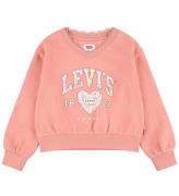 Levis Kids Sweatshirt - Meet & Greet - Terra Cotta m. Print