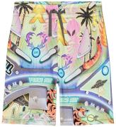 Molo Shorts - Alim - Pinball