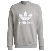 adidas Originals Sweatshirt Crewneck Adicolor Classics Trefoil - Grå/Hvid