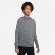 Nike Hættetrøje Dri-FIT Academy Pullover - Børn Grå Børn