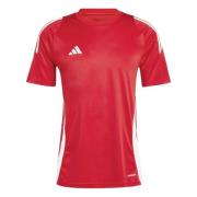 adidas Trænings T-Shirt Tiro 24 - Rød/Hvid